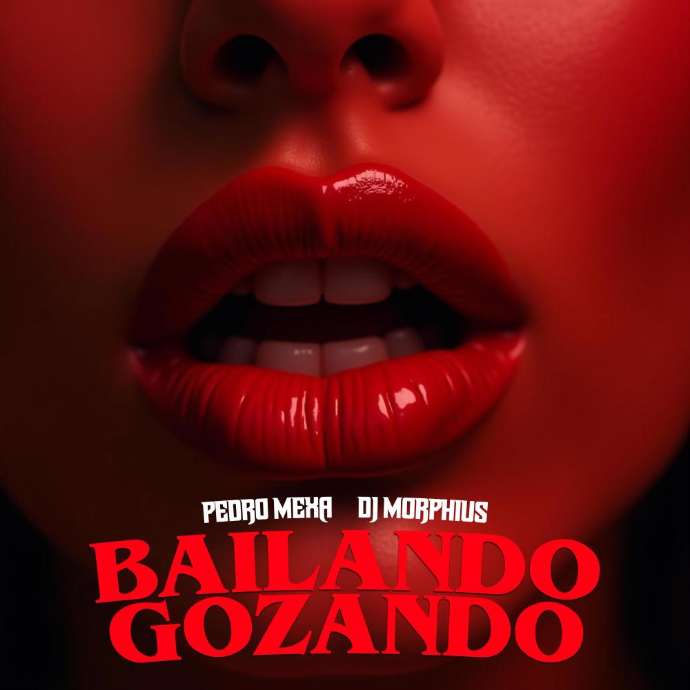 Bailando Gozando