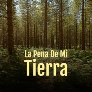 Listen to Tenerife Club De Futbol (Himno) song with lyrics from Los Huaracheros