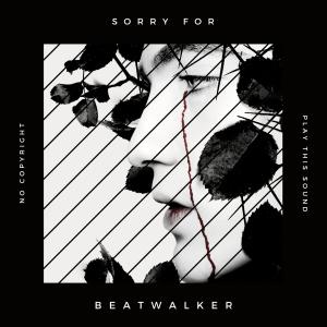 收聽Beatwalker的Sorry For歌詞歌曲
