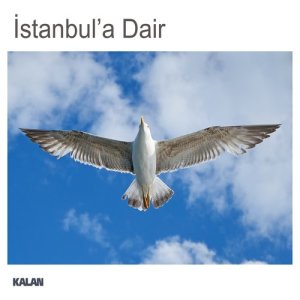 收聽Ayşenur Kolivar的Ha Gelduk İstanbul'a歌詞歌曲