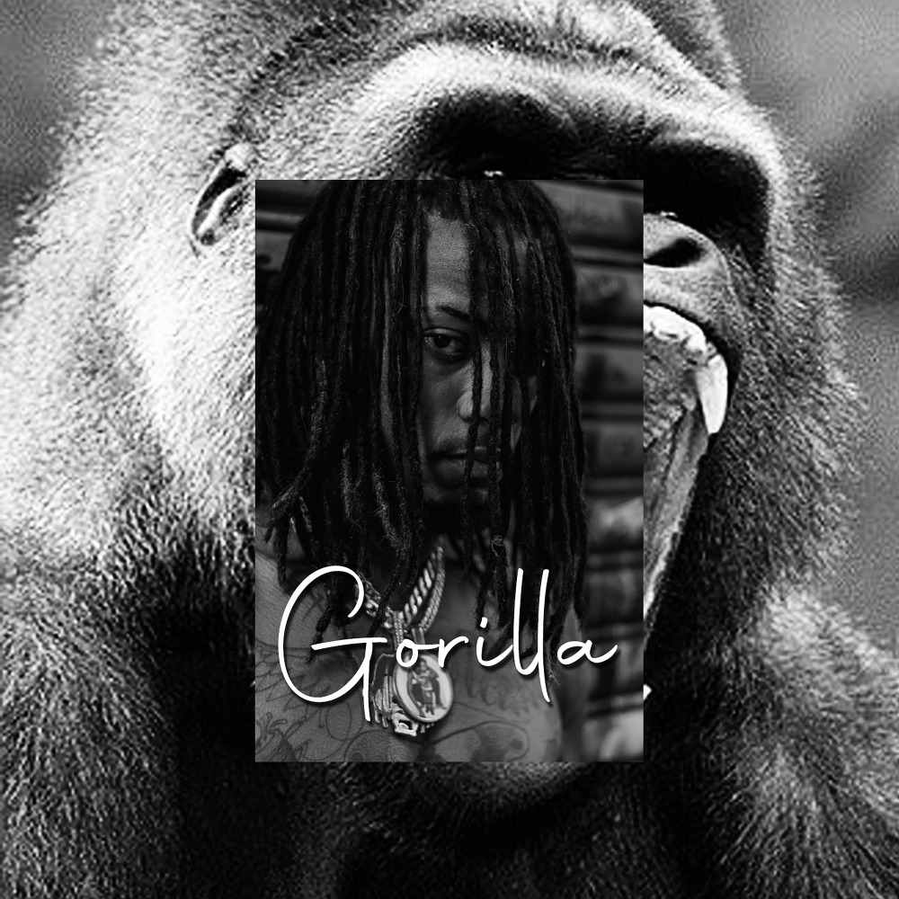 Gorilla