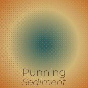 Album Punning Sediment oleh Various