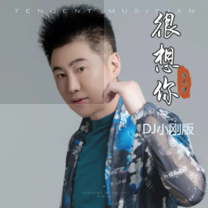 Album 很想你(DJ小刚版) from 陈玉建