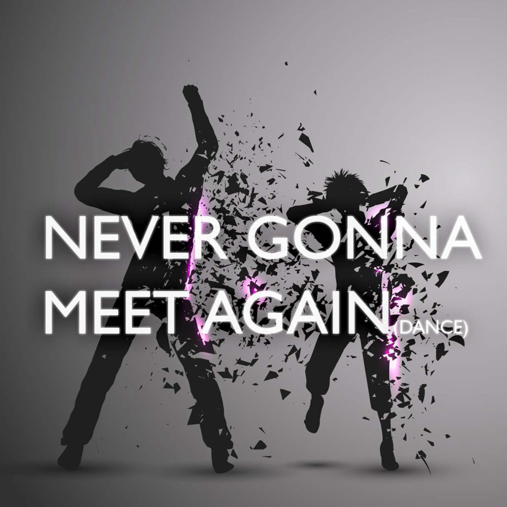 Never Gonna Meet Again