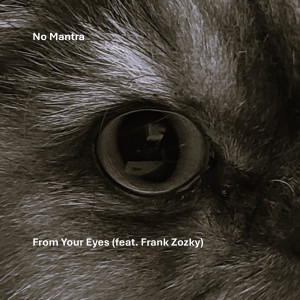 Listen to From Your Eyes song with lyrics from No Mantra