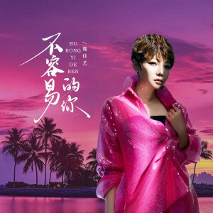 Album 不容易的你 from 魏佳艺