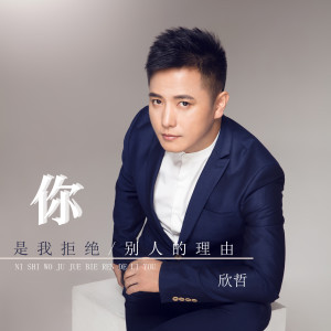 收听欣哲的你是我拒绝别人的理由 (DJcandy Mix广场舞DJ)歌词歌曲