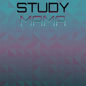 Various Artists的專輯Study Mama