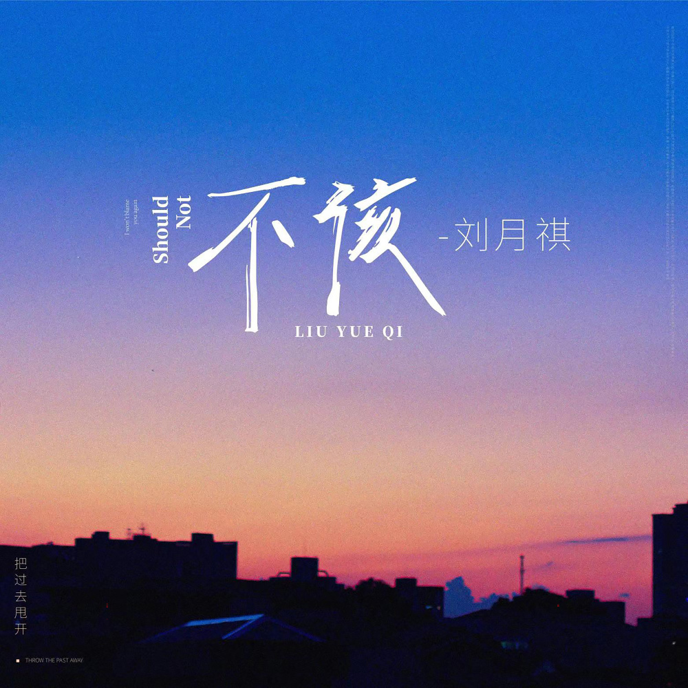 不该 (伴奏)