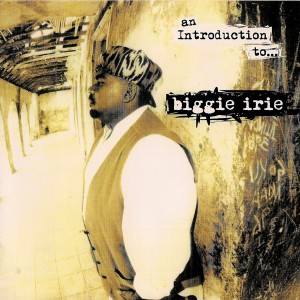 Biggie Irie的專輯An Introduction To…biggie Irie