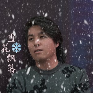 Listen to 雪花飘落 (完整版) song with lyrics from 尚国安