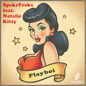 ดาวน์โหลดและฟังเพลง Playboi (Original Mix) พร้อมเนื้อเพลงจาก SpekrFreks