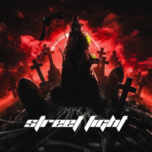 $hikaari的專輯Street Fight