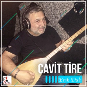 收聽Cavit Tire的Erik Dalı (Ensturmental)歌詞歌曲
