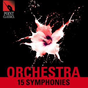 Various Artists的專輯Orchestra: 15 Symphonies