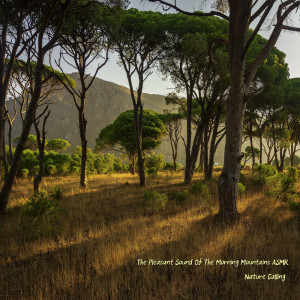 ดาวน์โหลดและฟังเพลง The Pleasant Sound Of The Morning Mountains ASMR พร้อมเนื้อเพลงจาก 네이쳐콜링