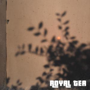 Listen to Glued Feet song with lyrics from Royal Tea