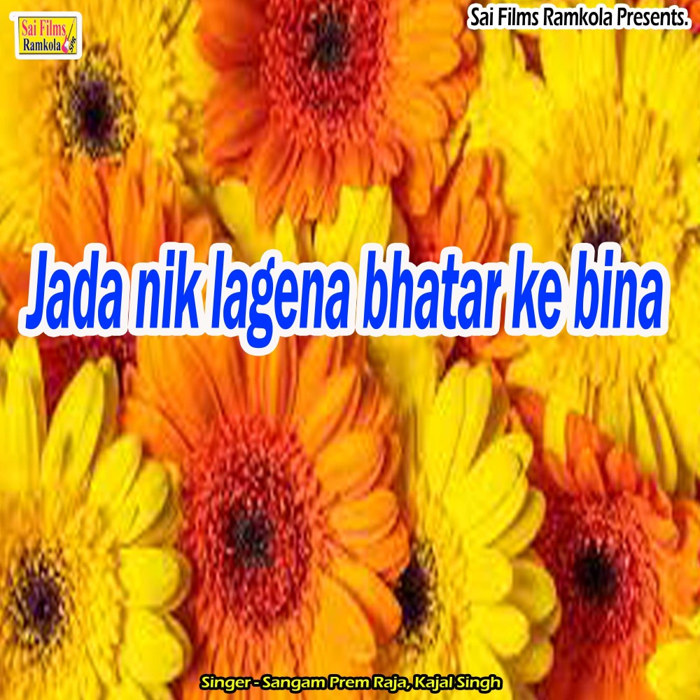 Jada nik lagena bhatar ke bina