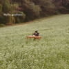 default album img