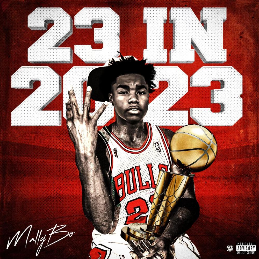 Mallybo i like it (feat. Kai Bandz) (Explicit)