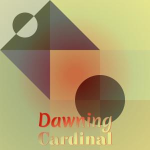 Various Artists的專輯Dawning Cardinal