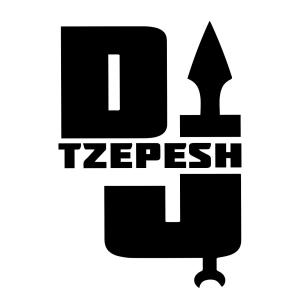 Listen to She's Crazy (feat. Dorin) song with lyrics from Dj TZepesh
