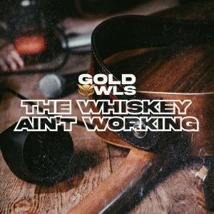 收聽Gold Owls的The Whiskey Ain't Working (Explicit)歌詞歌曲