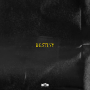 Album Destiny (Explicit) from Yvng.Wolfe