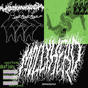 Album Mollyhead! (Explicit) from Deaf Joey