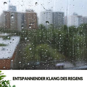 อัลบัม Entspannender Klang des Regens: Melodien vom Himmel ศิลปิน Dog Relaxation