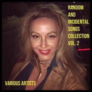 Various Artists的專輯Random and Incidental Songs Collection Vol. 2