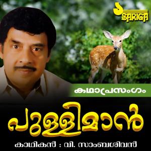 ดาวน์โหลดและฟังเพลง Pulliman, Pt. 2 พร้อมเนื้อเพลงจาก V. Sambasivan