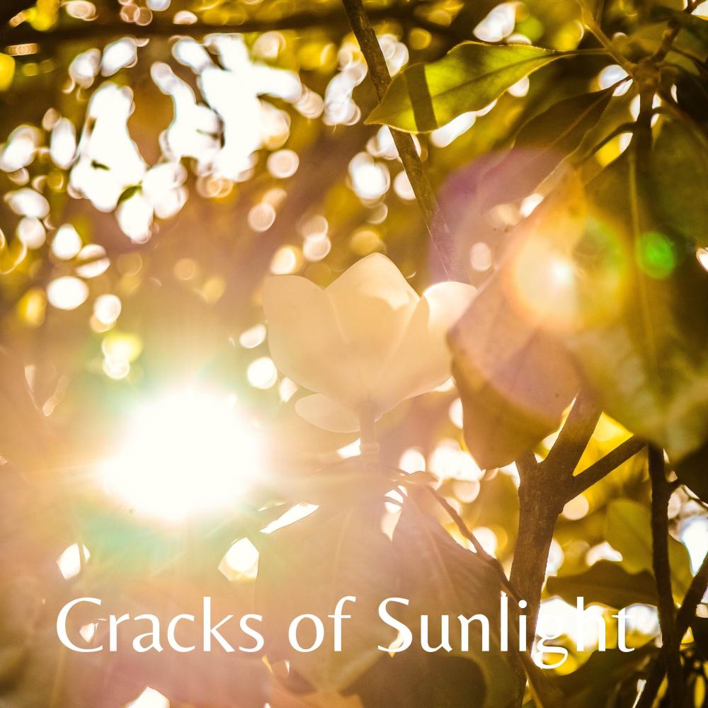 Cracks of Sunlight
