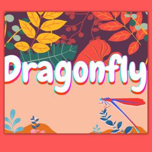 tōrō.boy的專輯Dragonfly