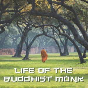 收听Buddhist Meditation Music Set的Sacred Well Being歌词歌曲