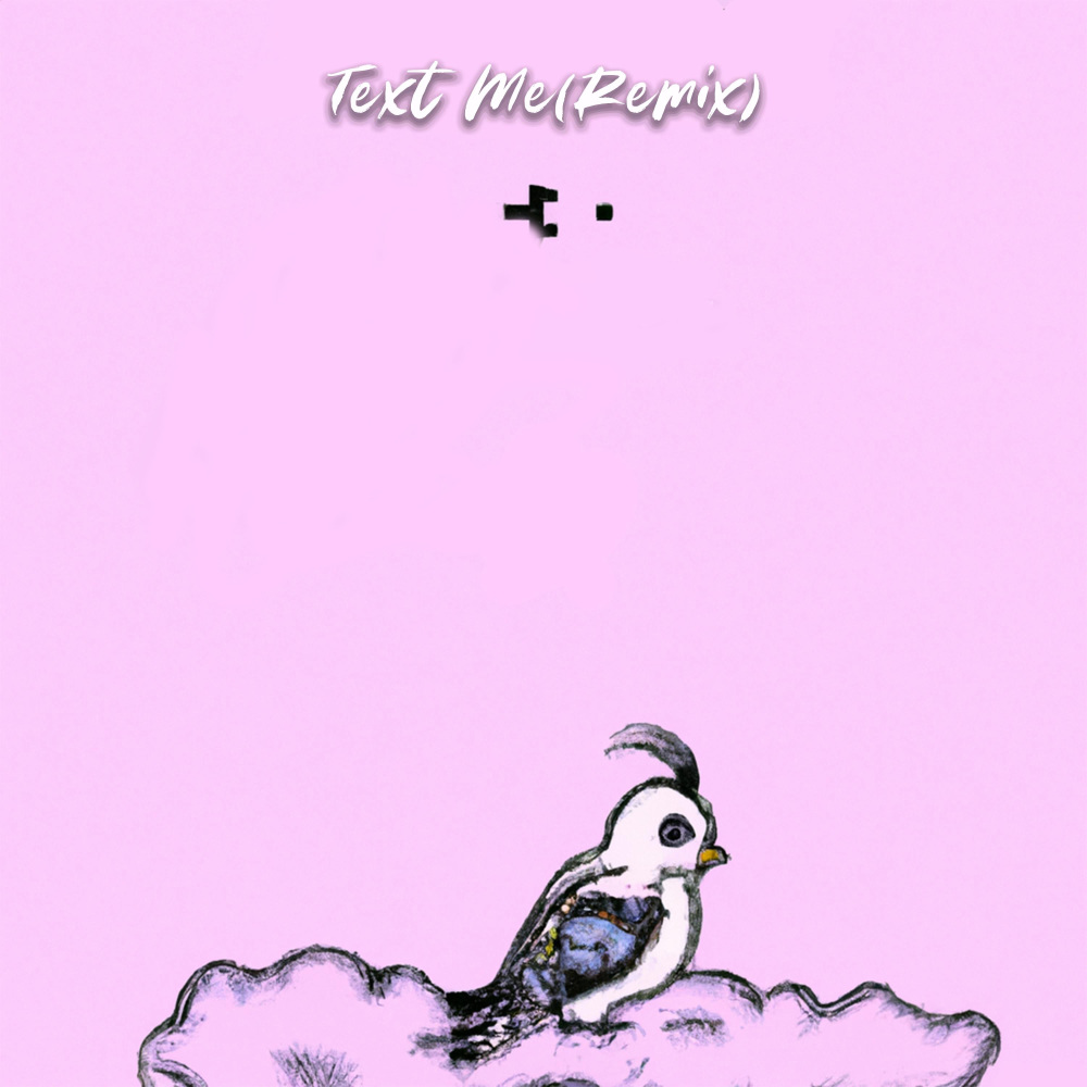 Text Me (Remix|Explicit)