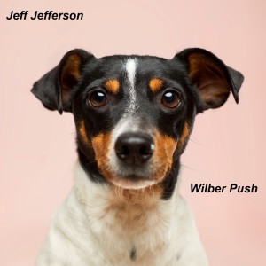 Jeff Jefferson的专辑Wilber Push
