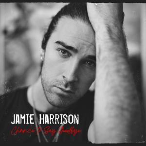 收聽Jamie Harrison的Chance to Say Goodbye歌詞歌曲