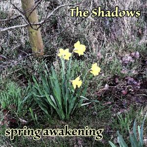 Dengarkan Man Of Mystery lagu dari The Shadows dengan lirik