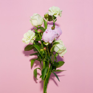 Listen to Sister song with lyrics from Tenfold.