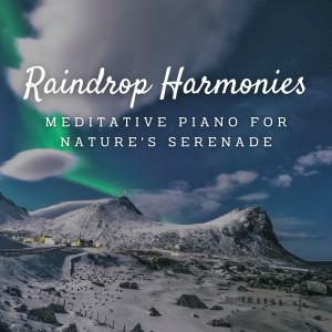 Amazing Jazz Piano Background的專輯Raindrop Harmonies: Meditative Piano for Nature's Serenade