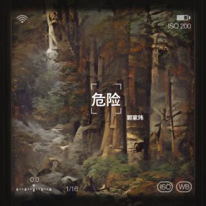 Listen to 危险 (完整版) song with lyrics from 向薄