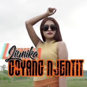 Album Goyang Njentit oleh Liunika
