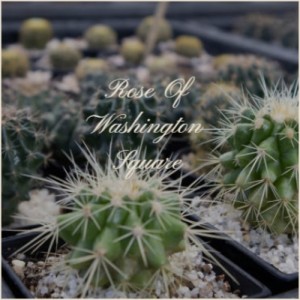 Dengarkan lagu Down South nyanyian The Lana Sisters dengan lirik