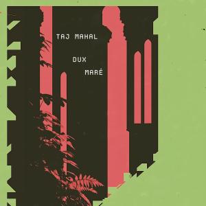 ดาวน์โหลดและฟังเพลง Taj Mahal (DUX, Maré Remix) พร้อมเนื้อเพลงจาก Dux