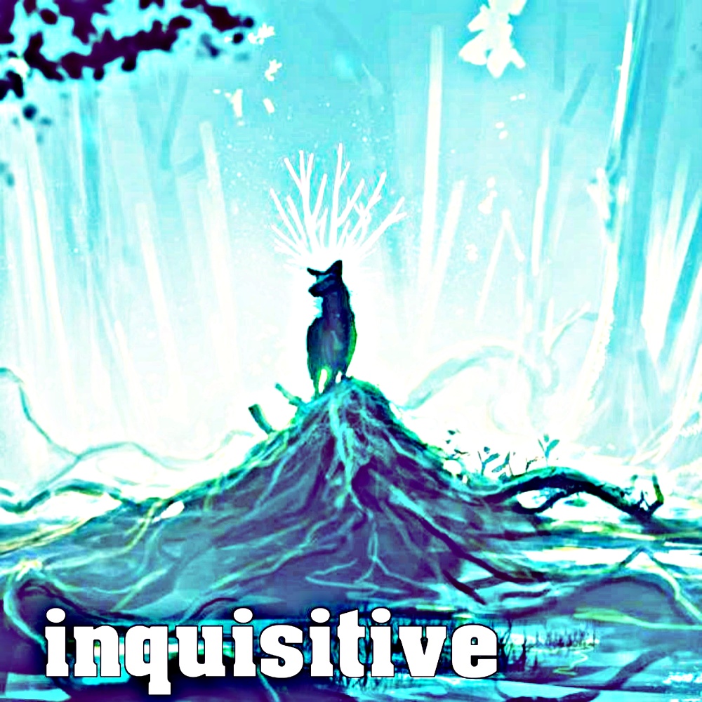 inquistive