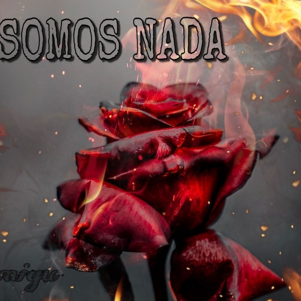 Somos Nada