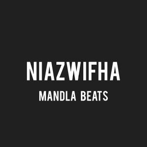 Album Niazwifha from mandla beats