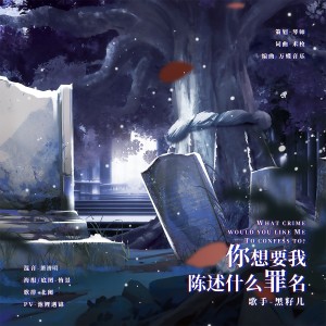 收听术枚的你想要我陈述什么罪名 (完整版)歌词歌曲