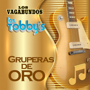 Listen to Tu Enamorado (Grupero) song with lyrics from Los Vagabundos